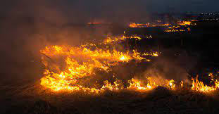 Пожары в Хакассии потушены