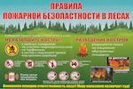 Правила пожарной безопасности в лесу и причины пожара